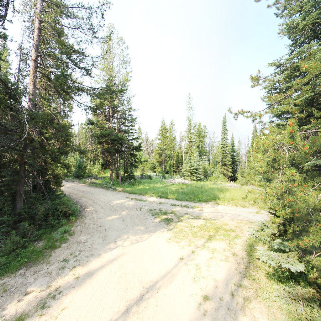 Big Hole Pass to Lick Creek Road scene image looking forward