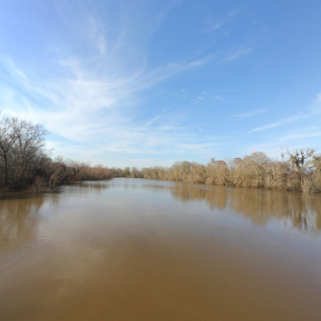 Ocmulgee River/Hinson's Landing to Confluence