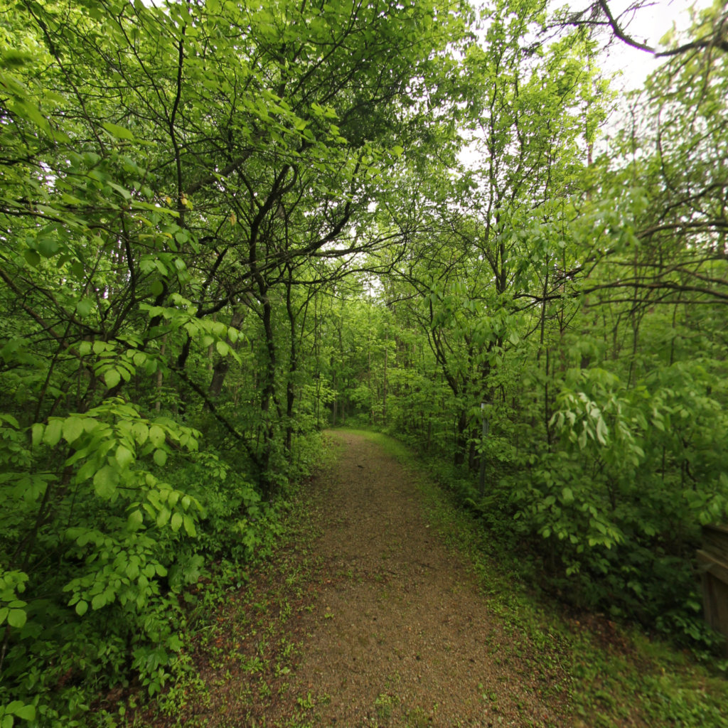 Warbler Trail