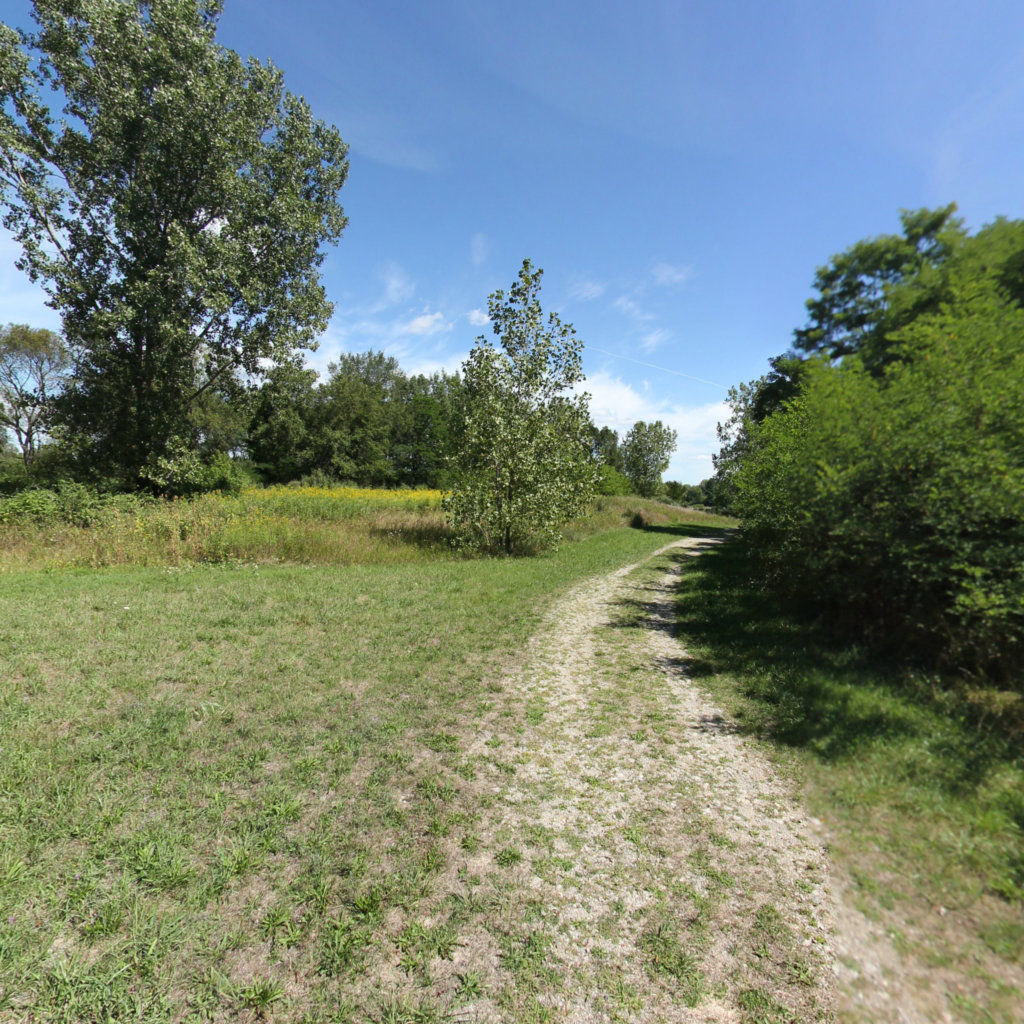 Stony Creek Metropark Trail  scene image looking forward