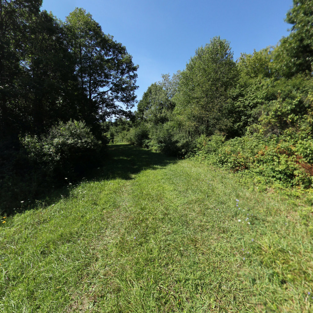 Stony Creek Metropark 5