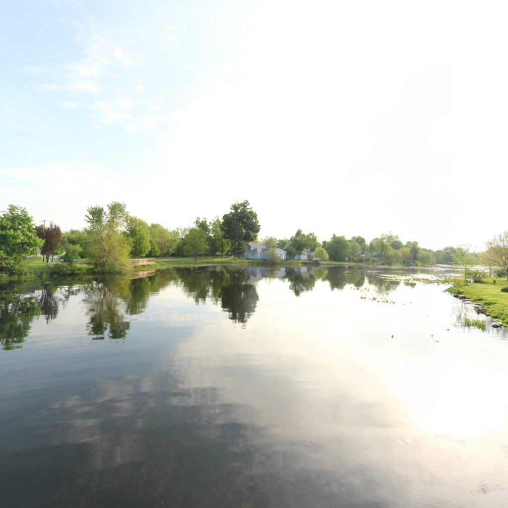 Fenton Mill Pond