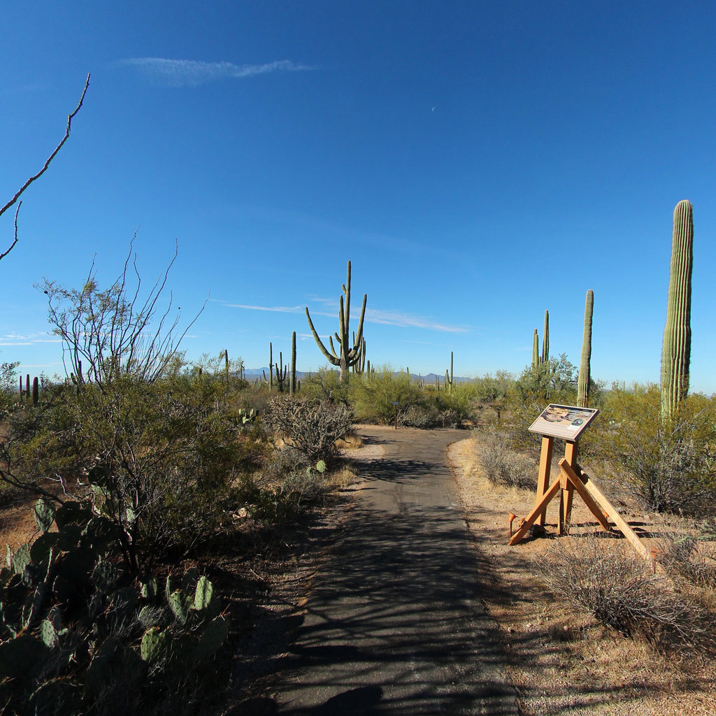 Desert Discovery Nature Trail | Terrain360