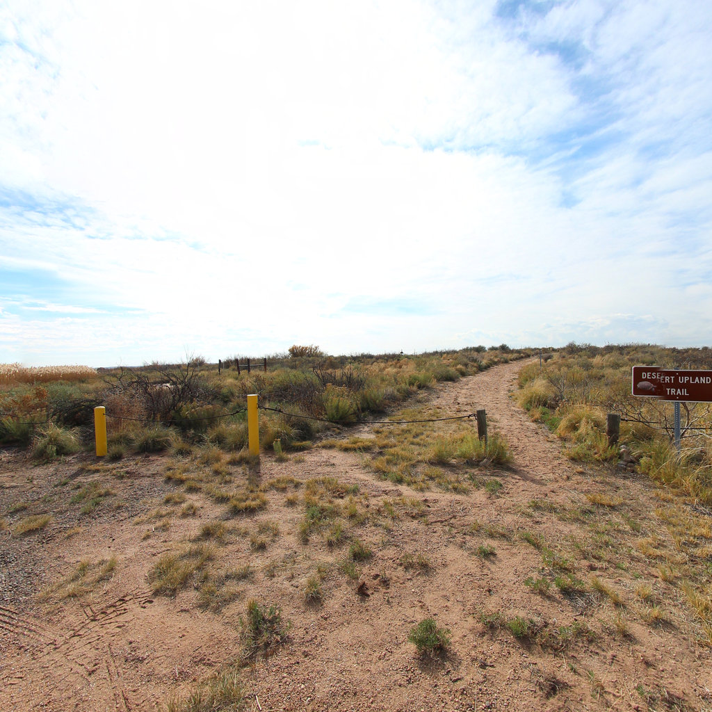 Desert Upland Trail